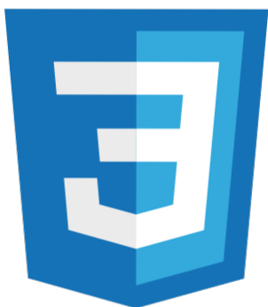 CSS Logo